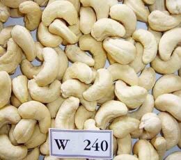 Fresh cashew kernels